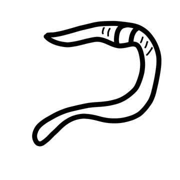 earthworm Annelida animal natural organic line hand drawn black and white
