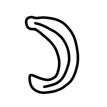 leech Annelida animal natural fly organic line hand drawn black and white
