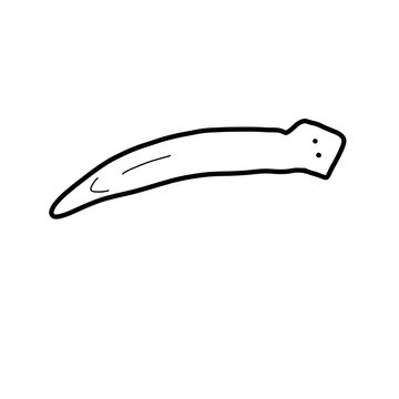 Planaria Platyhelminthes Tricladida animal natural organic line hand drawn black and white silhouette outline
