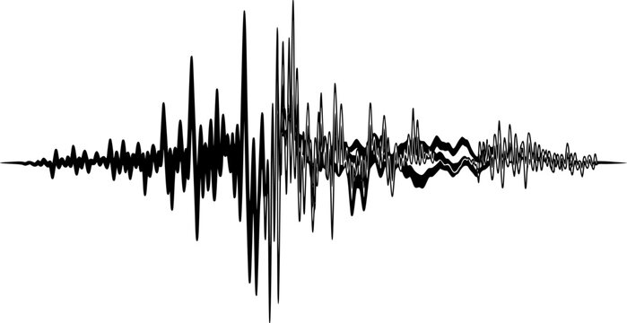 Dynamic black seismogram line graph representing a fluctuating earthquake wave or abstract sound vibration