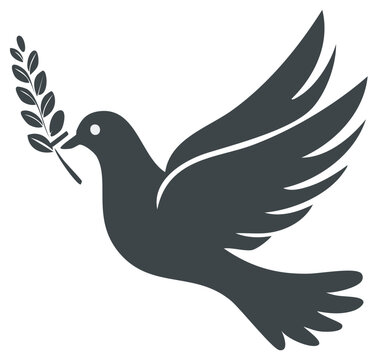 Dove Carrying Olive Branch Illustration Sign of Peace Hope Reconciliation