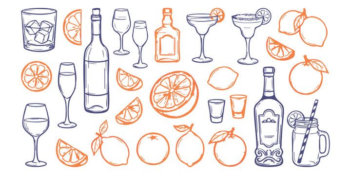 Hand drawn drinks cocktails wine bottles and sliced citrus fruits sketch set vector illustration