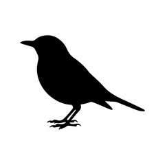 Obraz premium Black Bird Silhouette on White Background, Simple Vector Icon, Minimalist Style