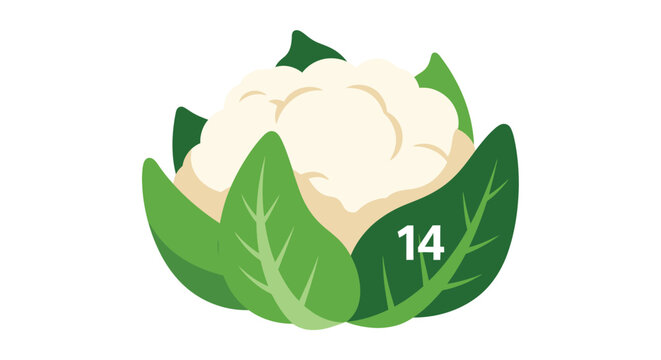 Vibrant green cauliflower with fresh leaves and number fourteen