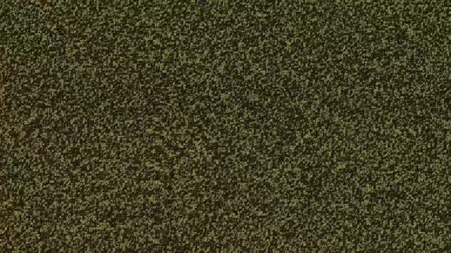 Retro VHS static noise background with pixelation and analog video error distortion, broken television signal interference, and grunge glitch texture for cinematic technology VFX overlay