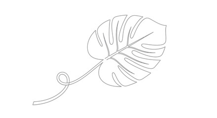 Minimalist Monstera Leaf Continuous Line Art for Tropical Plant Decor © StockSynergy