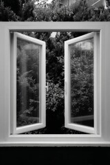 Obraz premium Window view of a serene yard