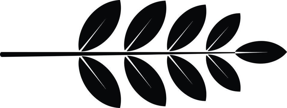 Minimalist black silhouette of a pinnate leaf branch with detailed midribs on oval leaflets isolated for botanical logo design projects