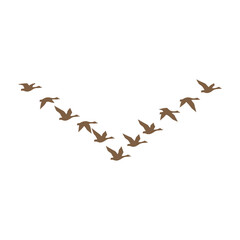Flock of geese flying in a perfect v formation against a clean white background symbolizing migration unity and journey with wings spread wide in synchronized flight © VectorCrafts