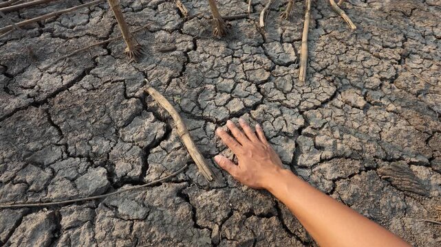 Land degradation and drought impact, hand touching cracked dry soil in climate crisis