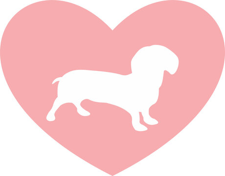 Dachshund popy  white silhouette on pink heart background