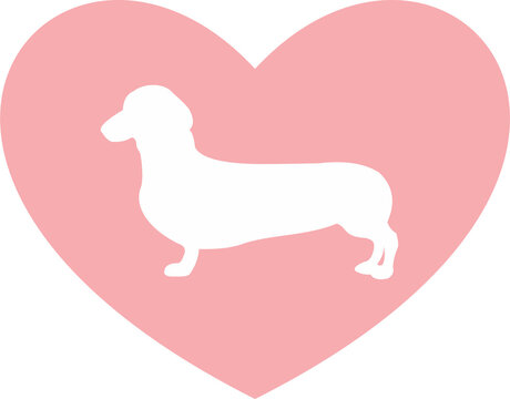 Dachshund popy  white silhouette on pink heart background