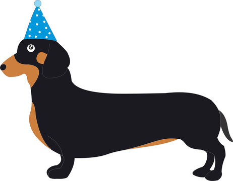 Dachshund popy cut cartoon animal  happy birthday 