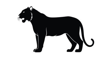 Majestic tiger stands powerfully in a striking black silhouette © MD