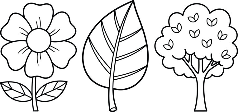 Colouring page for kids beautiful flower leaf and tree illustration
