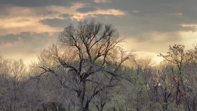 sunset in the fog