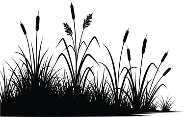 Cattail Reed Grass Silhouette Border with Marsh Plants and Wetland Vegetation, Natural Botanical Landscape Vector Illustration