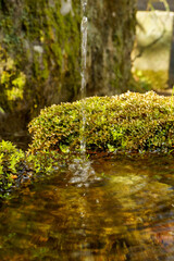 流れ落ちる清らかな湧水