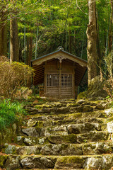 森の中の小さな祠