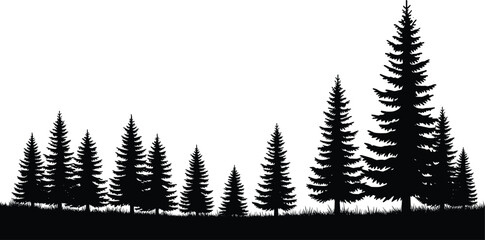 Black Pine Tree Silhouette Landscape, Coniferous Forest Border with Grass, Evergreen Fir Trees Nature Outdoor Vector Illustration Isolated on White Background © Tahera
