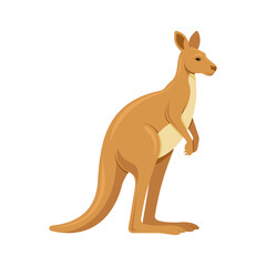 Detailed vector illustration of a brown kangaroo standing. Australian national symbol and wildlife mascot for nature and travel concepts. Isolated on white.