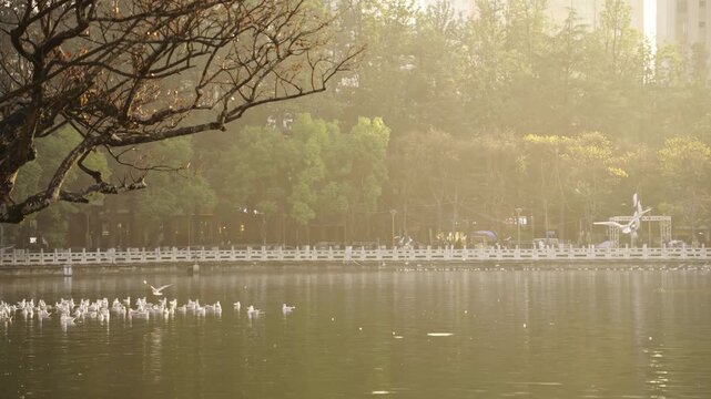 Cuihu Park Kunming Dawn Mist with Waterfowl and Marble Railings