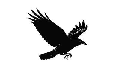 Fototapeta premium Black crow silhouette flying with spread wings is isolated on a white background for nature themes and halloween themed graphic design projects.