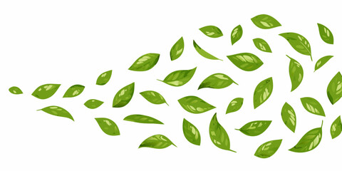 A scattering of vibrant green leaves against a plain white background © Bijoy