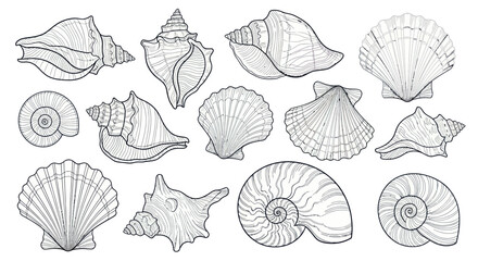 Collection of Hand-Drawn Seashells © dira