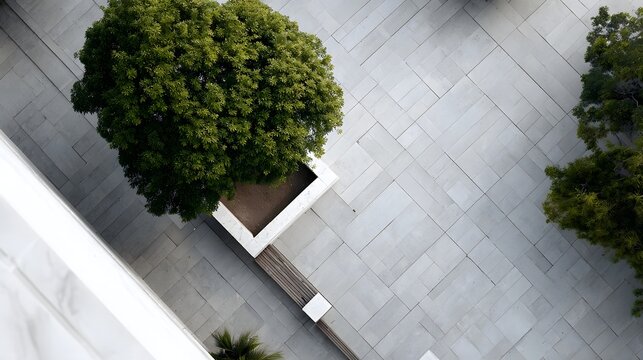 Aerial view of a modern courtyard with a large green tree stone paving and a wooden bench