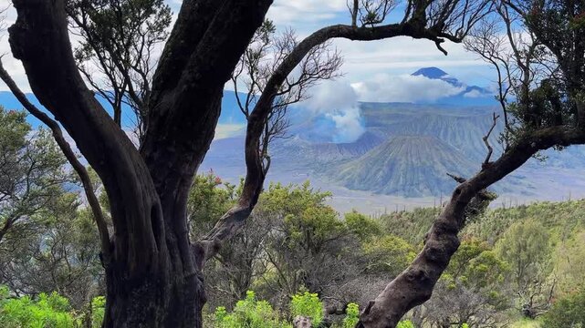 A wide-angle, horizontal 4K timelapse capturing the powerful, fast-moving clouds over the active Mount Bromo volcano. The footage features dramatic volcanic peaks framed by rugged ancient trees, showc