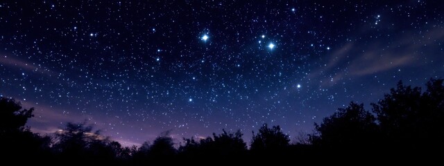 Fototapeta premium Starry night sky view over trees