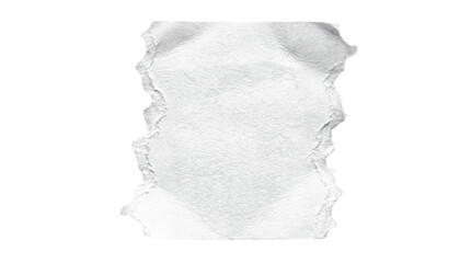 Obraz premium Rough torn white paper scrap with deckle edges, isolated on white background, textured blank copy space for design mockup, branding, collage, and packaging