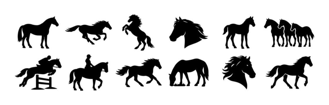 Horse Silhouettes Icon Set &ndash; Equestrian Horses, Running Mustang, Rider Jumping, Grazing Horse, Foal and Horse Head Black Vector Collection