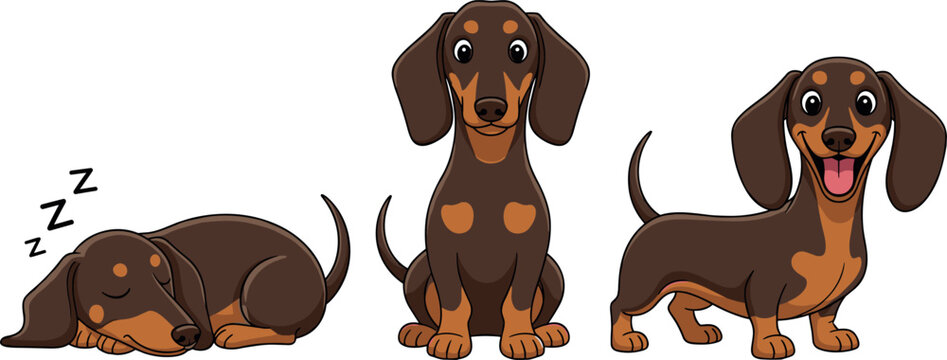 Cute dachshund dog cartoon vector set showing sleeping sitting and standing sausage dog character isolated illustration