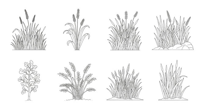 Wetland Forest Section Outline Set &ndash; Minimal Lawn Side View Elements for Landscape Architectural Drawings Vector