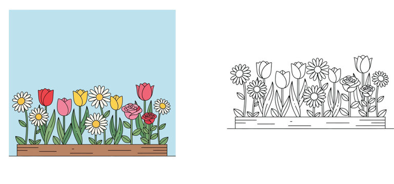 Spring flowers in a wooden planter box coloring page. Tulips, daisies, and roses colorful vector illustration and black and white line art for kids activity book.