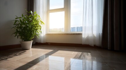 Fototapeta premium Bright sunlight streams through a window illuminating a potted green plant and casting reflections on a polished tile floor