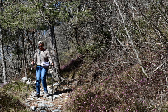 Frau wandert im Trentino 