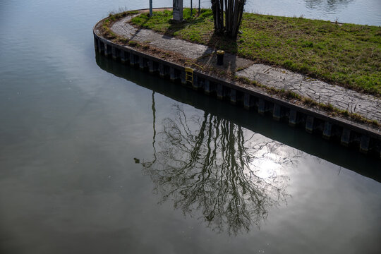 Eine Baumkrone spiegelt sich auf dem Wasser