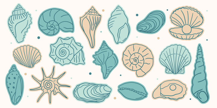 Hand drawn seashell sticker collection. Coastal ocean shell set with conch, scallop, nautilus, oyster, clam and spiral shells. Minimal line art beach elements for summer design.