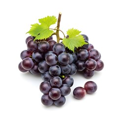Fototapeta premium A cluster of purple grapes with green leaves on a white background