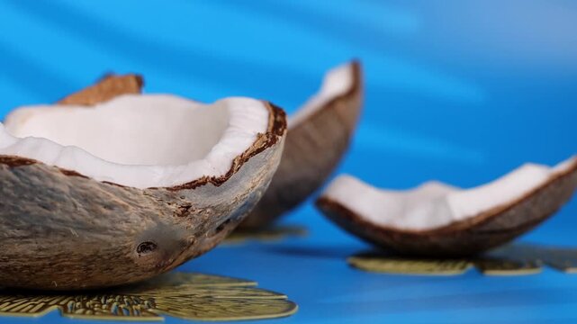 Coconut shells arranged on a blue background showing natural texture and shape while highlighting their unique features in close-up. Tropical minimal concept for summer branding and natural food ads