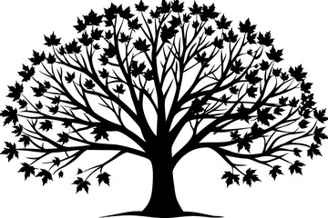 Obraz premium Detailed silhouette of leafy tree with branches and leaves capturing nature's beauty in simplistic black and white design