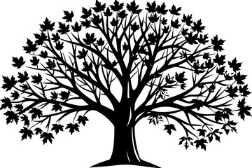 Obraz premium Silhouetted maple tree with intricate branch patterns and dense foliage against white background featuring detailed leaf silhouettes for nature enthusiasts