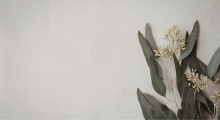 Elegant eucalyptus leaves and flowers on textured background © Muhammad