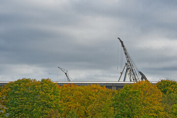 Tree canopy with construction cranes visible above under gray sky at Flensburg