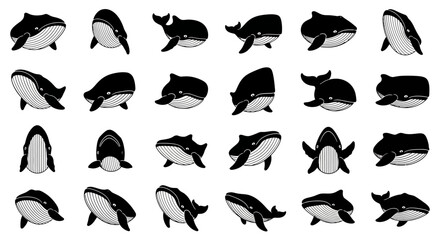 Collection of black and white orca whale illustrations in various poses and profiles on a plain white background © Dipan