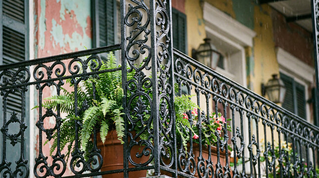 Stylowy balkon z kutą balustradą i zielonymi roślinami
