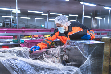 Food and manufacturing researchers oversee seafood production lines in tightly controlled factories...